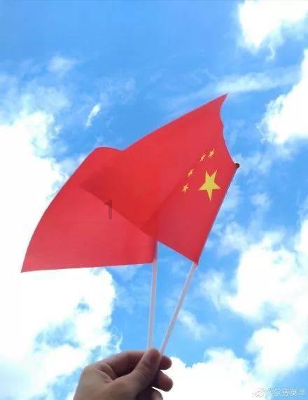 救援卷耳兔