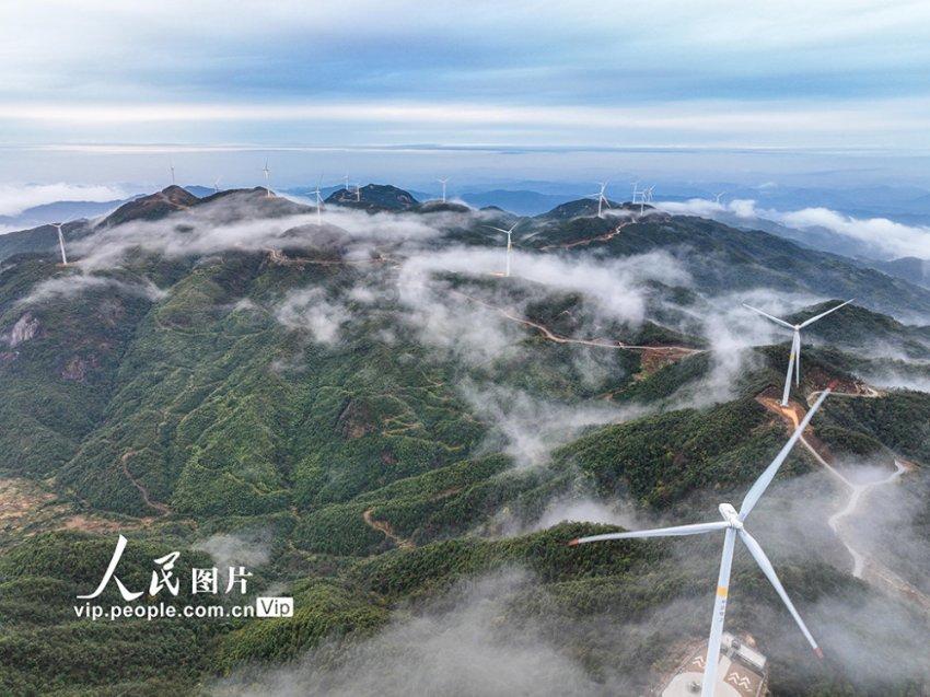 美丽的夜晚
