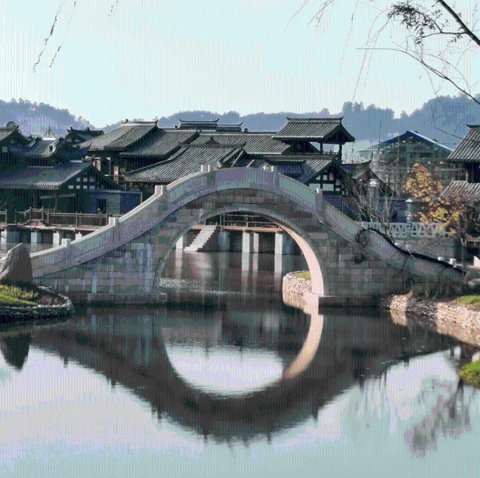逃离变色龙森林